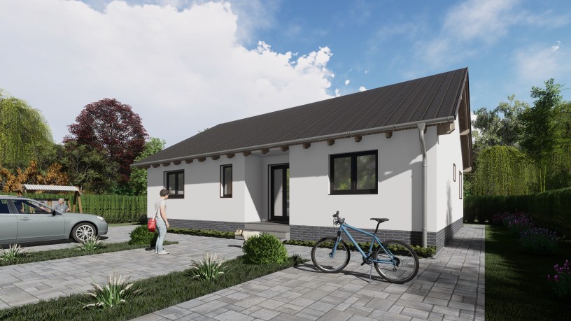 Proiect casa parter imagini 3d