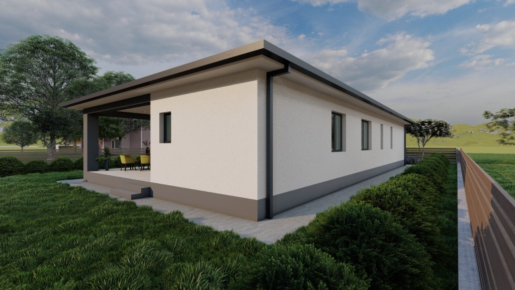 Proiect Casa Parter 10 metri latime