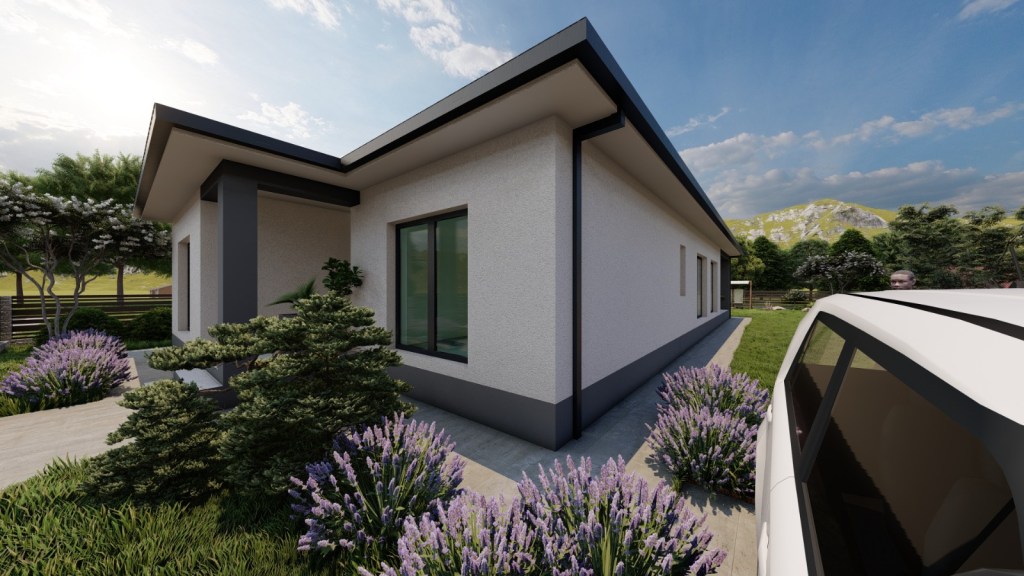 Proiect Casa Parter 10 metri latime