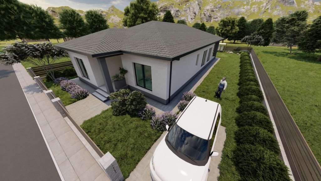 Proiect Casa Parter 10 metri latime