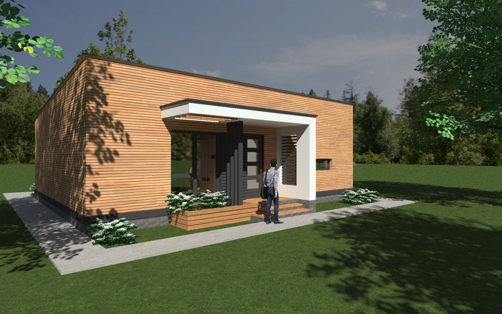 Proiect casa parter cu doua dormitoare planuri pret ieftin gratuit