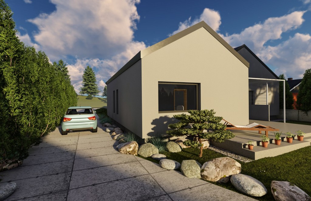 proiect casa parter Ortisoara