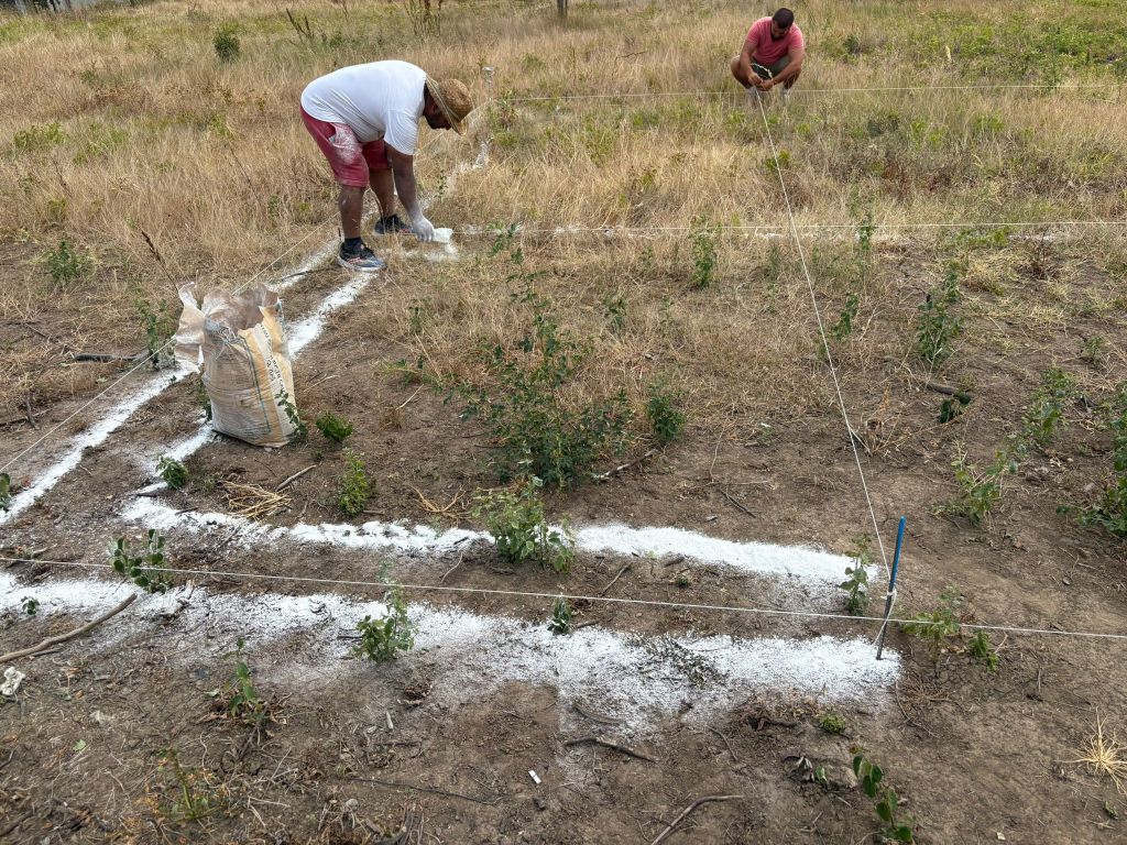 trasare fundatie cu var