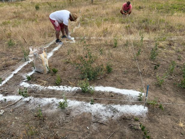 Constructie cabana 7 x 7.4 metri – primul pas –&nbsp;trasarea