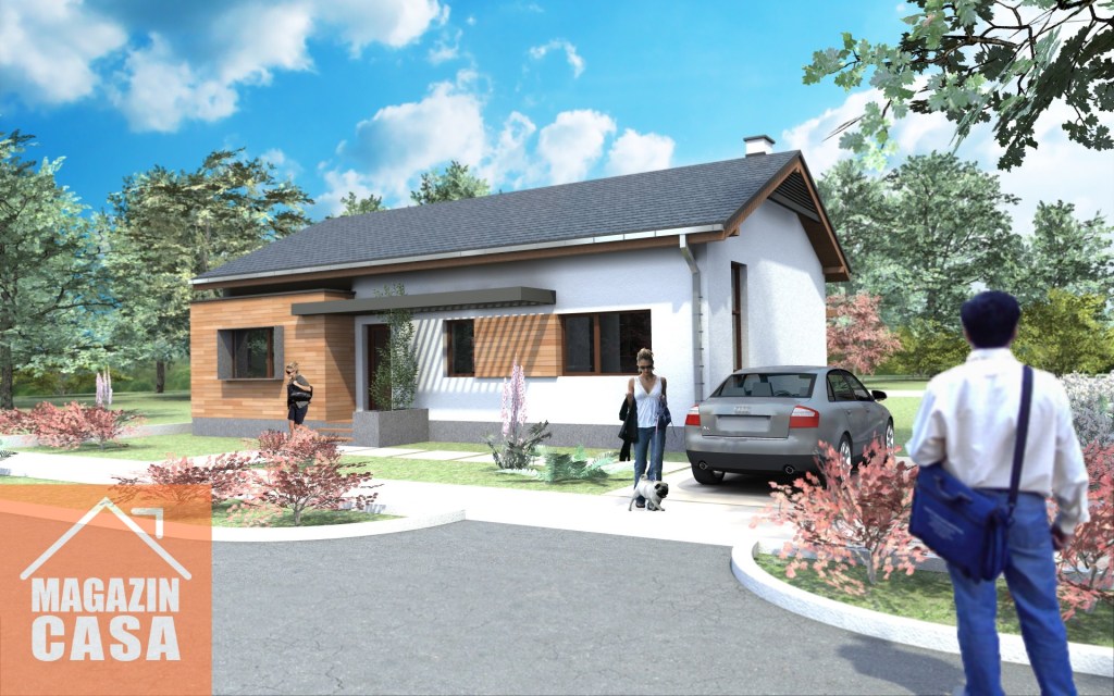 Planuri Case parter fatade