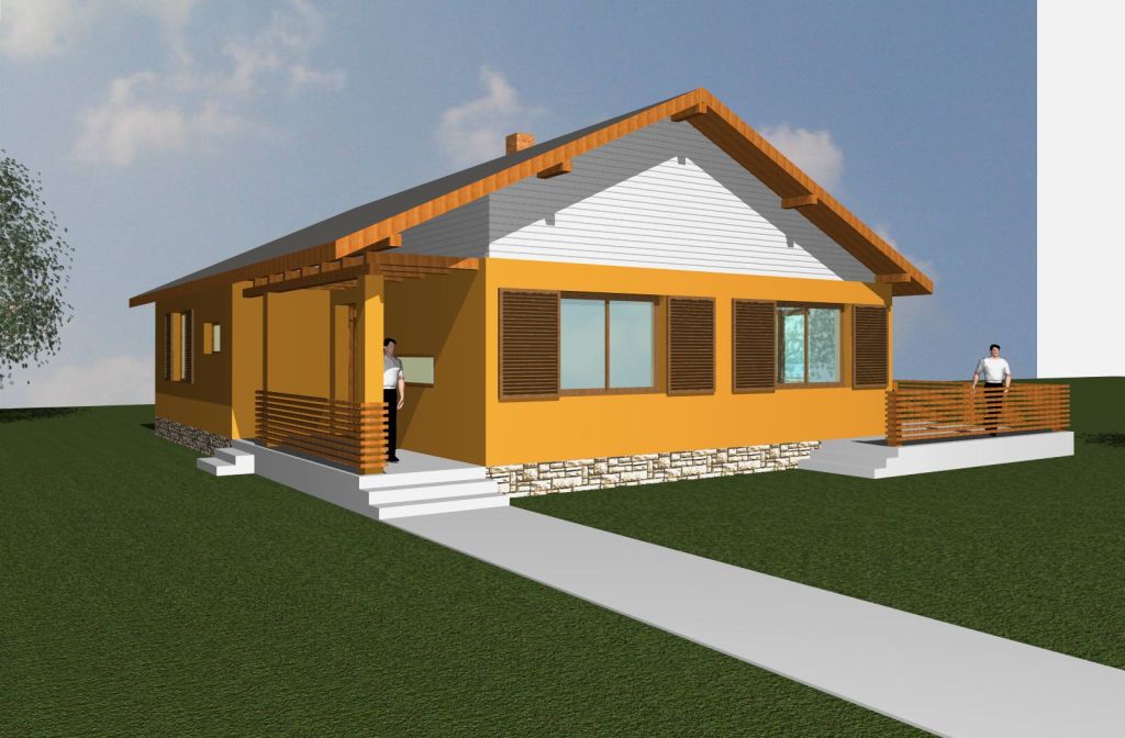 Planuri Case parter fatade