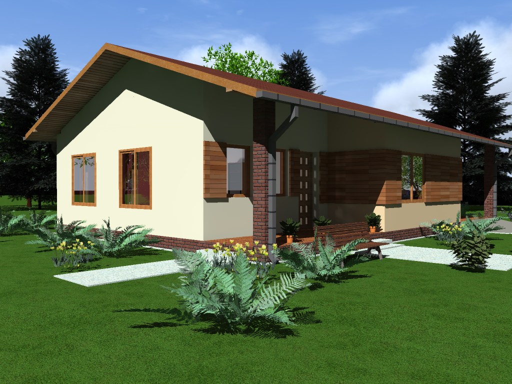 Planuri Case parter fatade